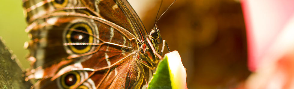 ddos压力在线测试平台