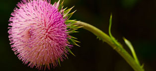 【精简版】流畅的ddos压力测试网页端