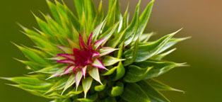 ip攻击器网页版ddos